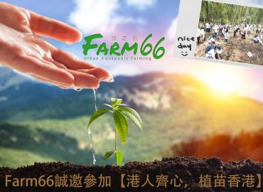 馬鞍山山火焚燒20小時 Farm66誠邀參加【港人齊心,植苗香港】,發揮獅子山精神!