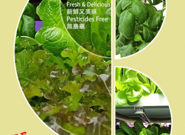 Citysuper☀️🚛🗣🥗🥗🥗😍🌱🌿☘️👍