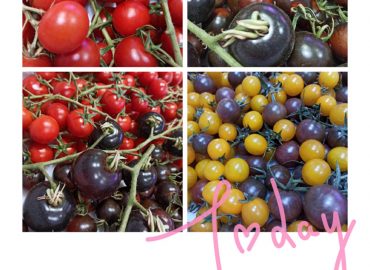 Sogo☀️🚛🗣🥗🥗🥗😍🌱🌿☘️👍